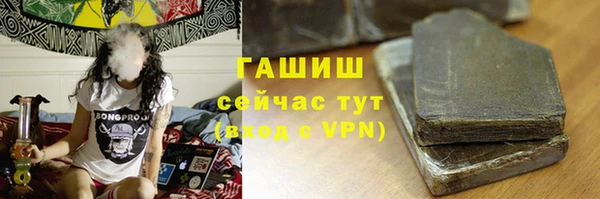 мет Алексин