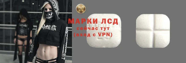 мет Алексин