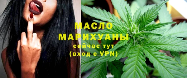 гашик Аркадак