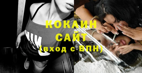 гашик Аркадак