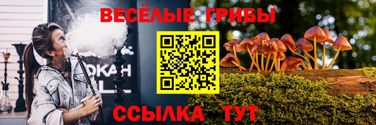 Обнинск  Псилоцибиновые грибы ЛСД  Вход с VPN 