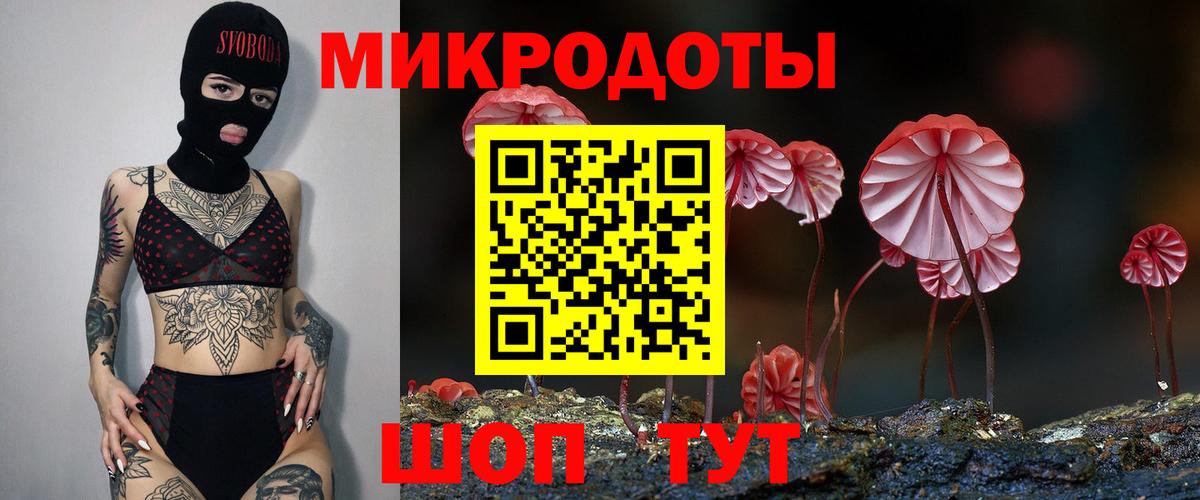 Галлюциногенные грибы Psilocybe Обнинск
